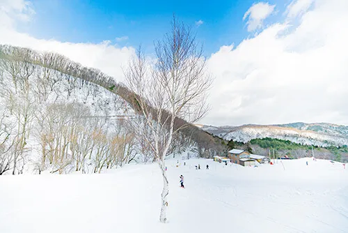 平スキー場