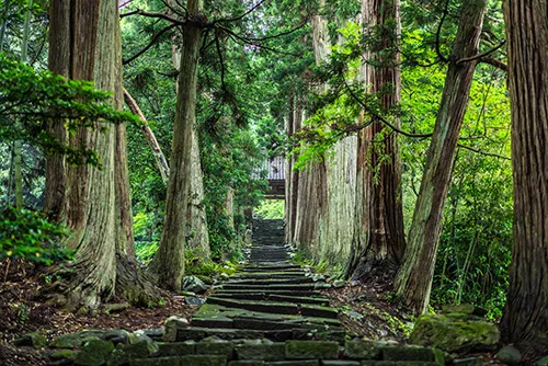 清水寺